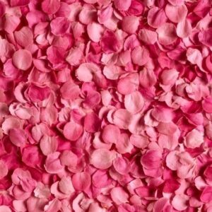 دانلود آهنگ دامن من چین چینیه آبی آسمونیه